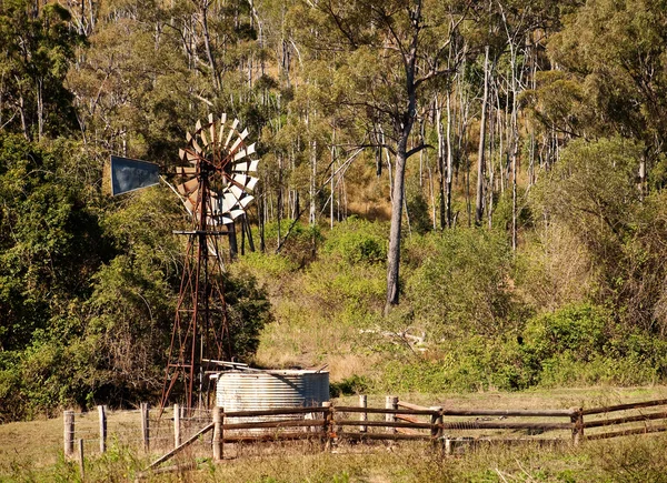 Australiska landsbygden med gumtrees och väderkvarn — Stockfoto