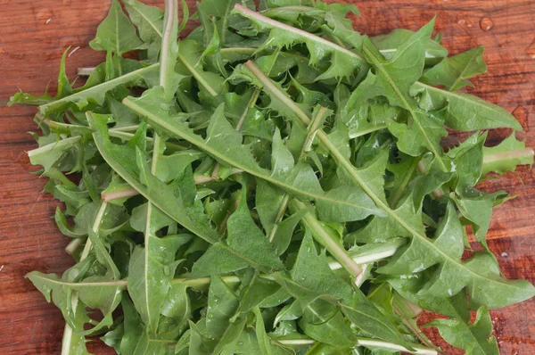 Gewaschene Blätter eines Löwenzahns für Salat — Stockfoto