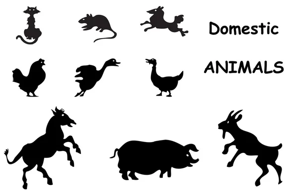 Domácí zvířata siluety — Stockový vektor