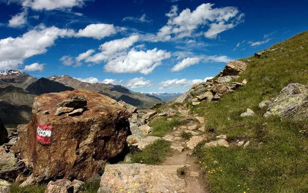 Summer Alpine Footpath — Stock Photo, Image