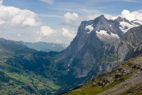 Bernalperna i sommar - sedd från jungfraujoch — Stockfoto