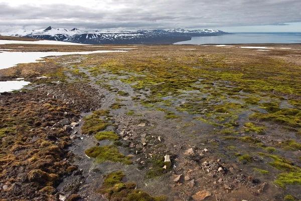 Nasse Oberfläche auf Spitzbergen — Stockfoto