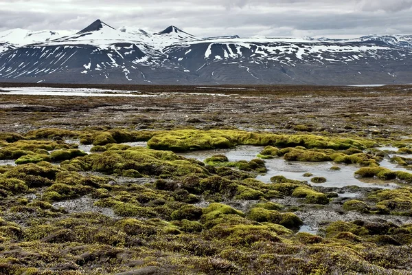 Nasse Oberfläche auf Spitzbergen in der Arktis — Stockfoto