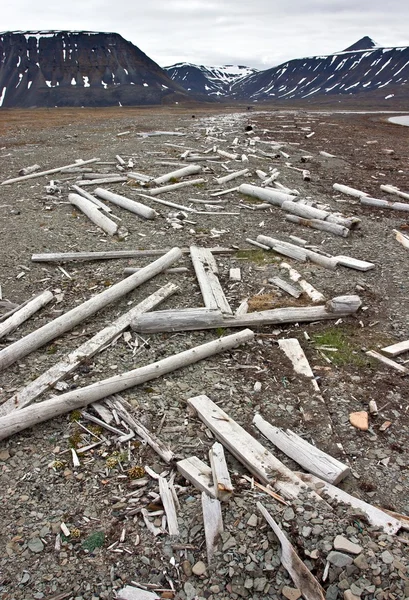 Drewniane deski wyrzucone na svalbard pobrzeże — Zdjęcie stockowe