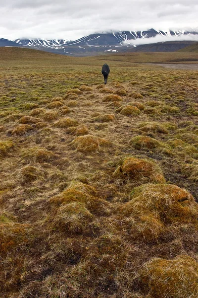 Person zu Fuß in der Tundra auf Spitzbergen — Stockfoto