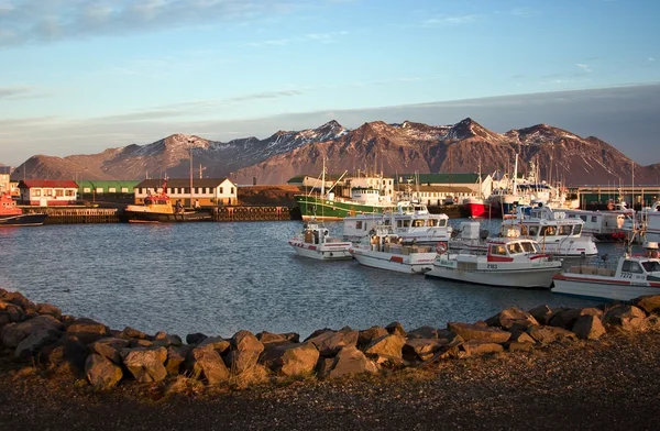 Puerto de Hofn (Islandia) ) — Foto de Stock