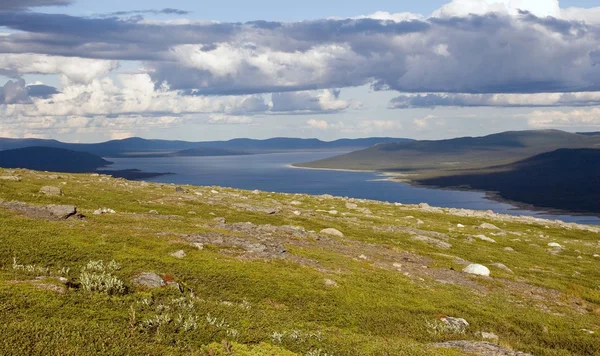 Tundra peyzaj — Stok fotoğraf