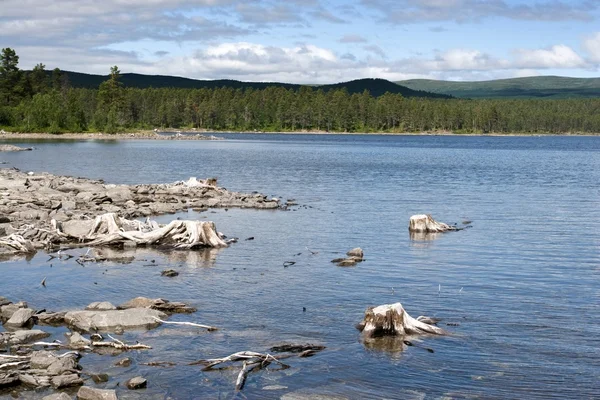Lake i norra Sverige (Lappland) — Stockfoto
