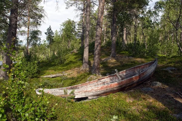 Старая деревянная лодка в лесу — стоковое фото