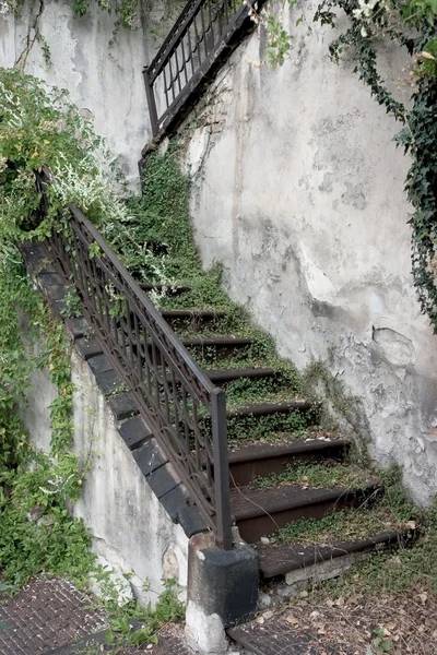 Старая лестница, покрытая зеленью — стоковое фото