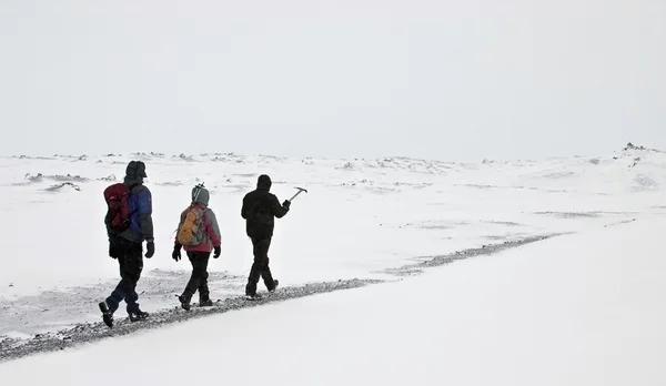 三个走在冬季的风景 — 图库照片