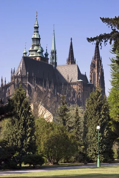 View on Prague Castle from the Royal Garden — Stock Photo, Image