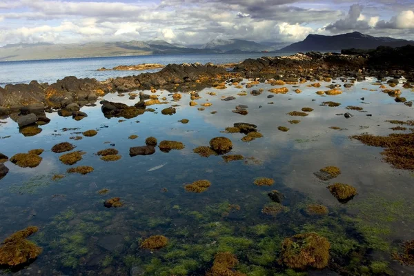 Felsige Küste Schottlands im Sommer — Stockfoto