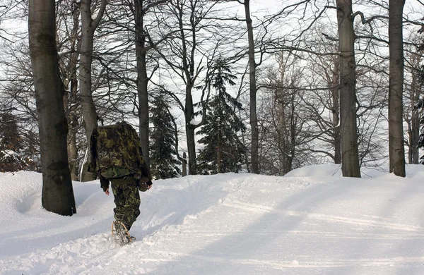 Человек в форме, идущий по зимнему лесу в снегоступах — стоковое фото