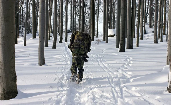 Muž v uniformě chůzi lesem zimě na sněžnicích — Stock fotografie
