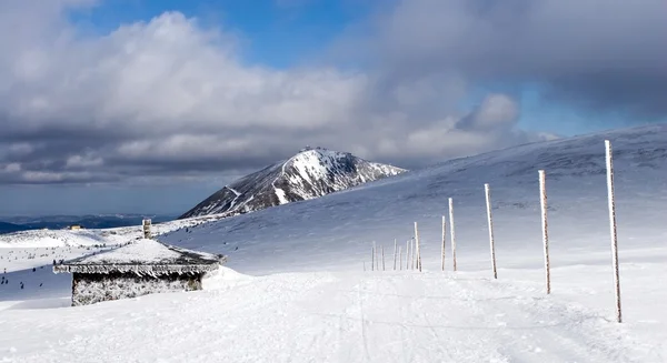 Vägen som leder till sniezka - högsta topp i Tjeckien — Stockfoto