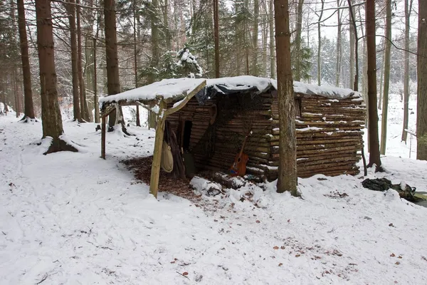 Antigua cabaña de madera en el bosque de invierno —  Fotos de Stock