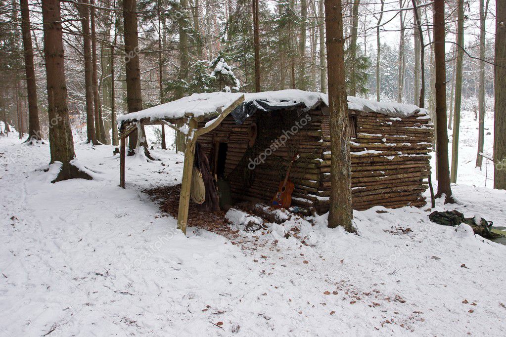 Old Log Cabin In Winter Forest Stock Photo C Premek 12204997