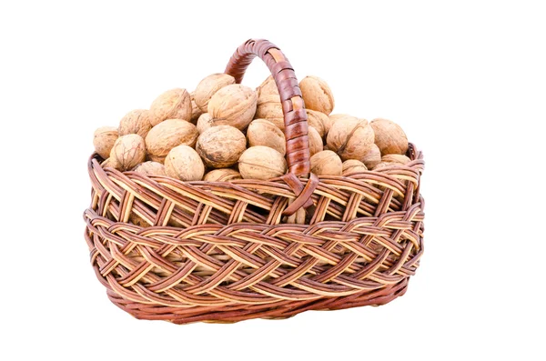 Nut in basket — Stock Photo, Image