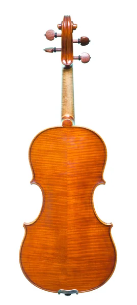 O violino de perto no fundo branco — Fotografia de Stock