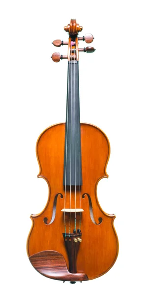 O violino de perto no fundo branco — Fotografia de Stock