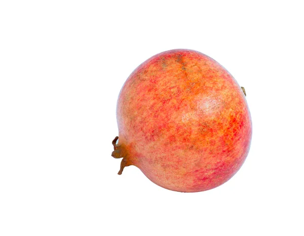 Pomegrane — Stockfoto