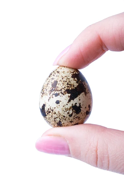 Яйцо и палец — стоковое фото