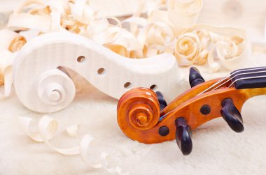 Violin clipart