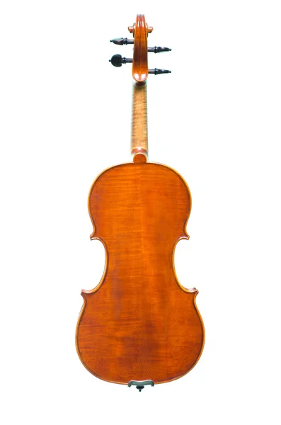 Violin - Stock-foto