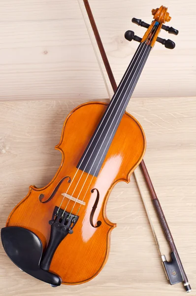 stock image Violin