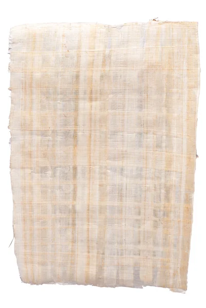 Papiro — Foto de Stock