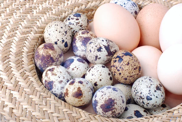 Eier im Hut — Stockfoto