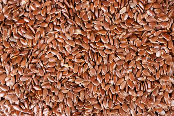 Lněná semena — Stock fotografie