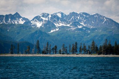 Kenai Fiyortları Ulusal Parkı