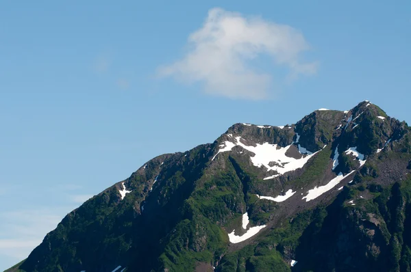 Kenai Fjords National Park — Stock Photo, Image