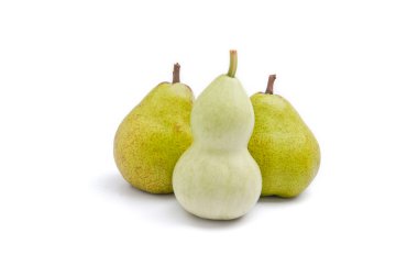 Curvy shaped body vs pear shaped body clipart