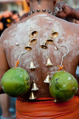 Thaipusam Festivali