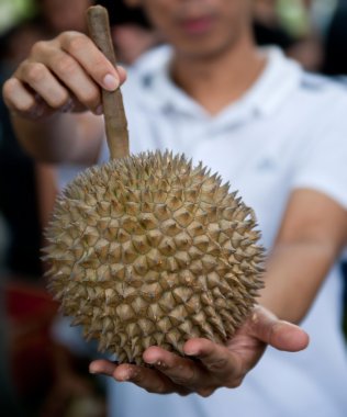 Durian clipart