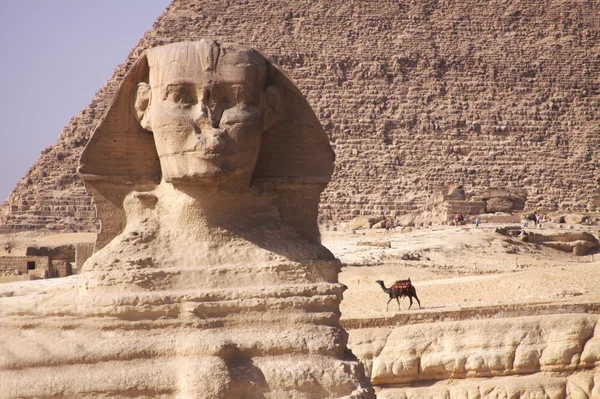 El guardián egipcio de los tesoros infinitos —  Fotos de Stock