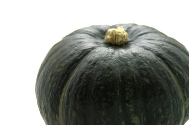 Squash