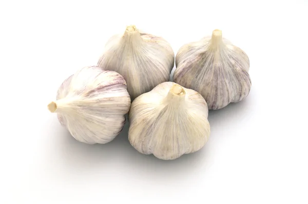 stock image Garlic