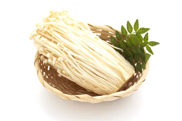 stock image Enokitake