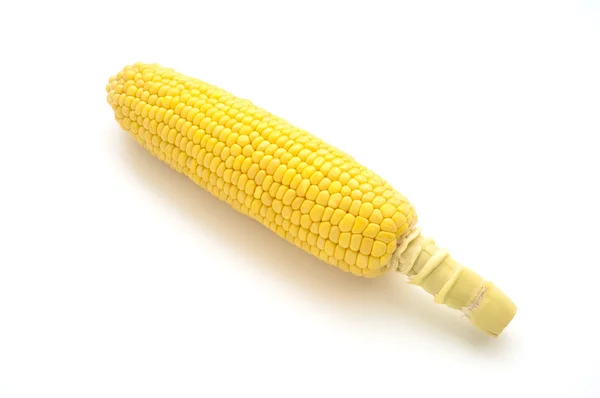原料玉米 — 图库照片