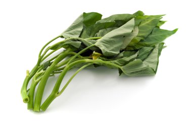 Chinese water spinach clipart