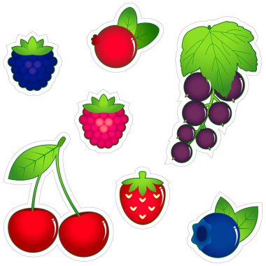 Berries icon set clipart