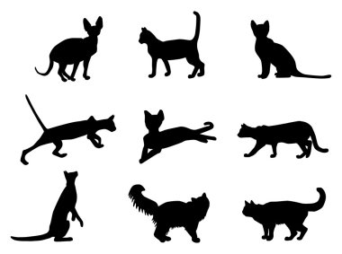 Kediler siluetleri vektör