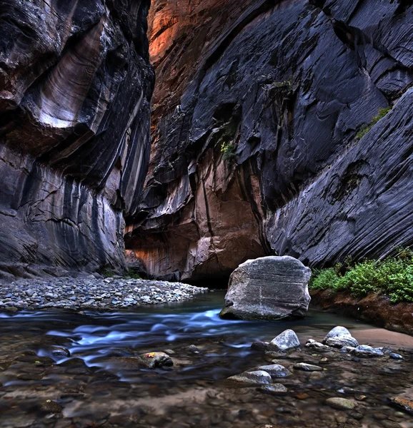Zion national park. — Stok fotoğraf