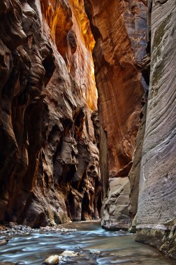 Zion national park.