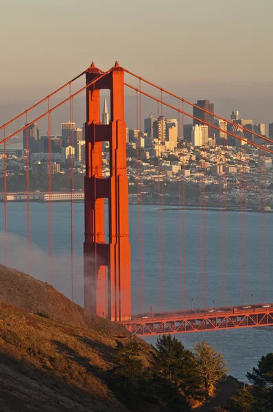 Most Golden Gate. — Zdjęcie stockowe