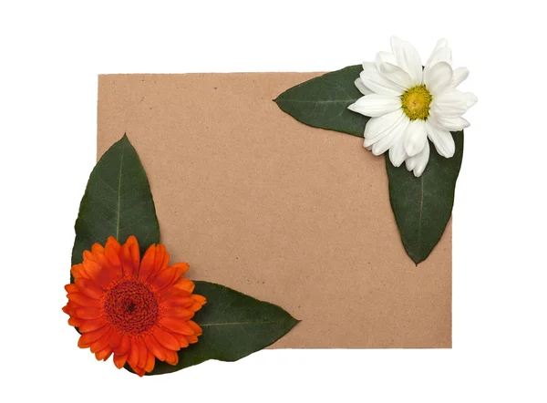 Rough paper and flowers — Stock Photo, Image